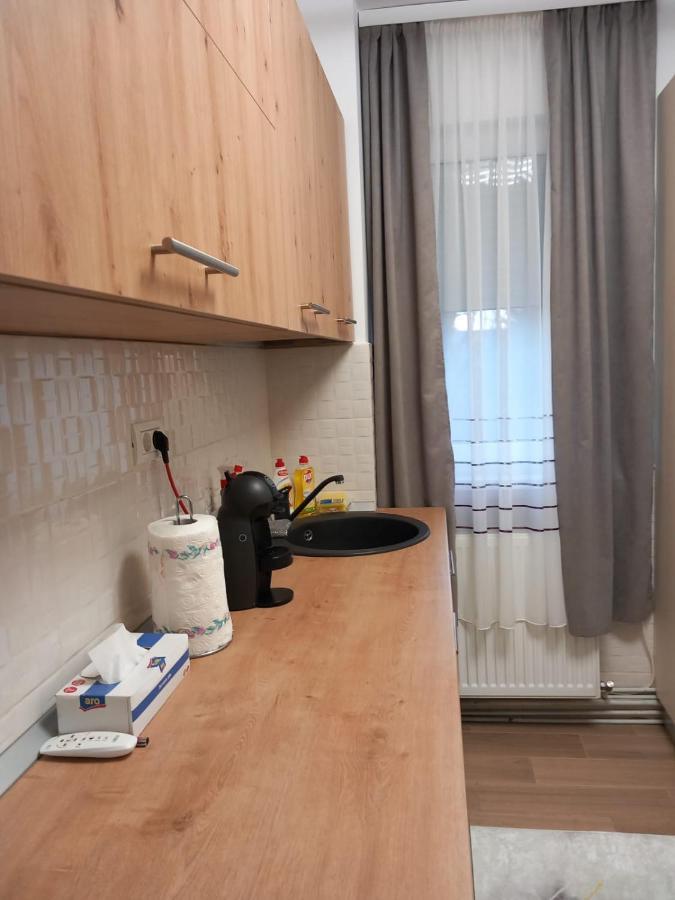 Apartament New Apart Făgăraş Zewnętrze zdjęcie