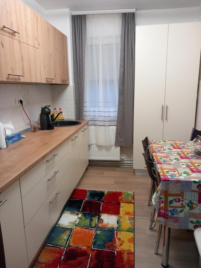 Apartament New Apart Făgăraş Zewnętrze zdjęcie