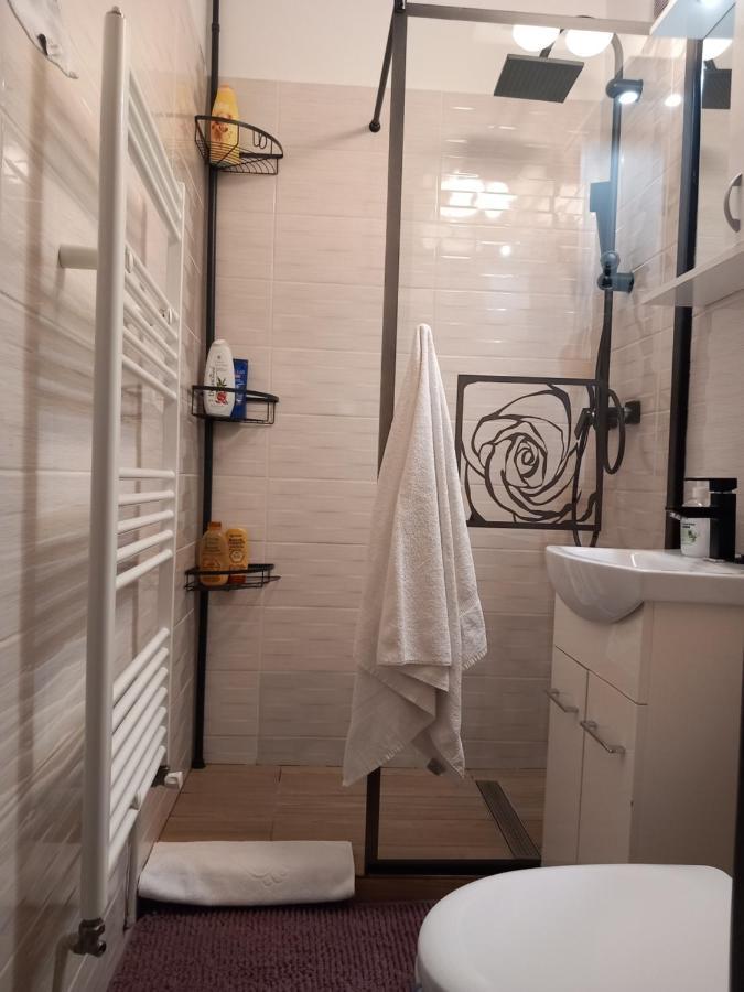 Apartament New Apart Făgăraş Zewnętrze zdjęcie